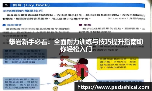 攀岩新手必看：全面耐力训练与技巧提升指南助你轻松入门