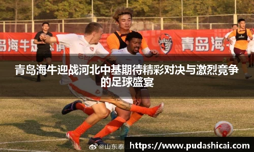 青岛海牛迎战河北中基期待精彩对决与激烈竞争的足球盛宴