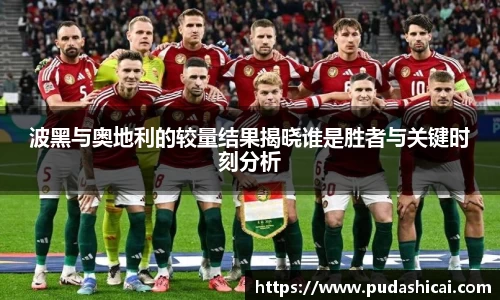 波黑与奥地利的较量结果揭晓谁是胜者与关键时刻分析